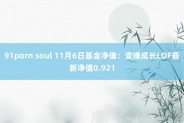91porn soul 11月6日基金净值：变嫌成长LOF最新净值0.921