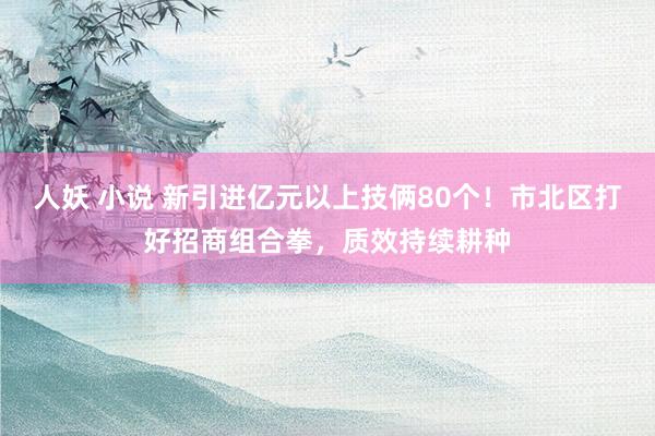 人妖 小说 新引进亿元以上技俩80个！市北区打好招商组合拳，质效持续耕种