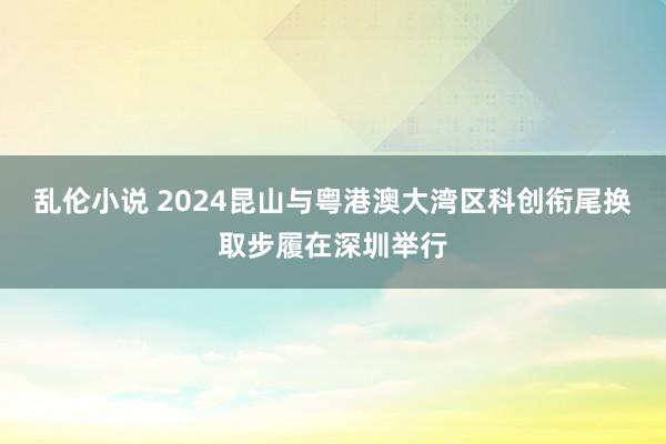 乱伦小说 2024昆山与粤港澳大湾区科创衔尾换取步履在深圳举行