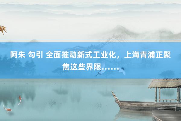 阿朱 勾引 全面推动新式工业化，上海青浦正聚焦这些界限……