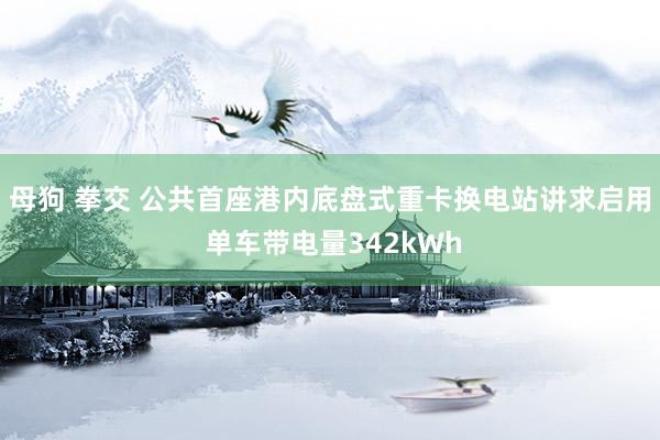 母狗 拳交 公共首座港内底盘式重卡换电站讲求启用 单车带电量342kWh