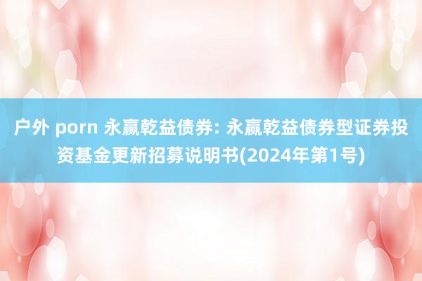 户外 porn 永赢乾益债券: 永赢乾益债券型证券投资基金更新招募说明书(2024年第1号)