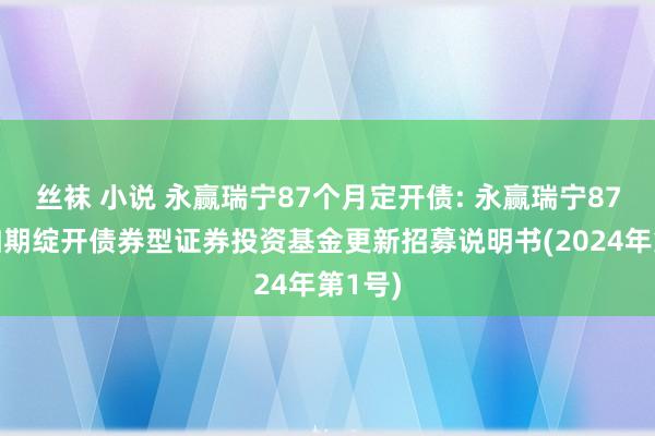 丝袜 小说 永赢瑞宁87个月定开债: 永赢瑞宁87个月如期绽开债券型证券投资基金更新招募说明书(2024年第1号)