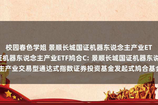 校园春色学姐 景顺长城国证机器东说念主产业ETF鸠合A,景顺长城国证机器东说念主产业ETF鸠合C: 景顺长城国证机器东说念主产业交易型通达式指数证券投资基金发起式鸠合基金2024年第1号更新招募说明书