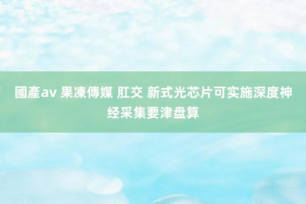 國產av 果凍傳媒 肛交 新式光芯片可实施深度神经采集要津盘算