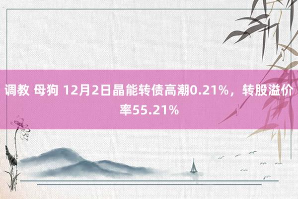 调教 母狗 12月2日晶能转债高潮0.21%,转股溢价率55.21%