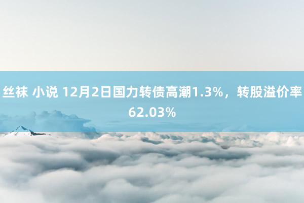 丝袜 小说 12月2日国力转债高潮1.3%，转股溢价率62.03%