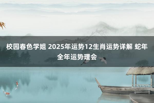 校园春色学姐 2025年运势12生肖运势详解 蛇年全年运势理会