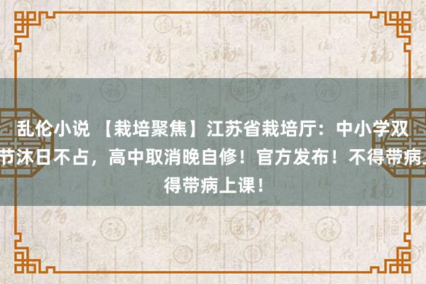 乱伦小说 【栽培聚焦】江苏省栽培厅：中小学双休，节沐日不占，高中取消晚自修！官方发布！不得带病上课！