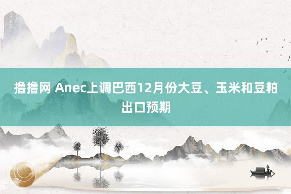撸撸网 Anec上调巴西12月份大豆、玉米和豆粕出口预期