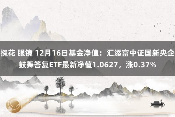 探花 眼镜 12月16日基金净值：汇添富中证国新央企鼓舞答复ETF最新净值1.0627，涨0.37%