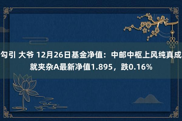 勾引 大爷 12月26日基金净值：中邮中枢上风纯真成就夹杂A最新净值1.895，跌0.16%