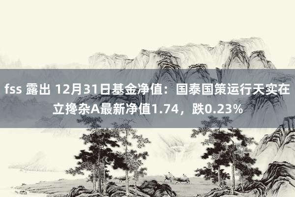 fss 露出 12月31日基金净值：国泰国策运行天实在立搀杂A最新净值1.74，跌0.23%